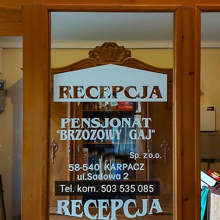 Brzozowy Gaj - Pensjonat Karpacz Bagian luar foto