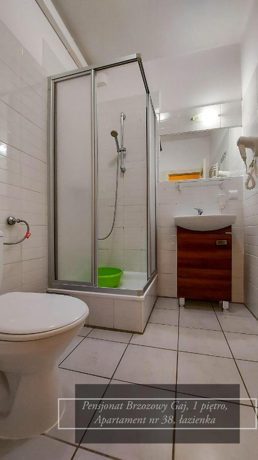 Brzozowy Gaj - Pensjonat Karpacz Bagian luar foto