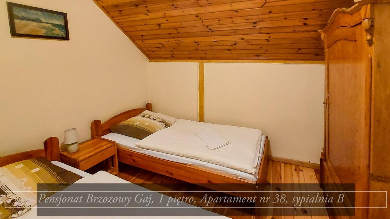Brzozowy Gaj - Pensjonat Karpacz Bagian luar foto