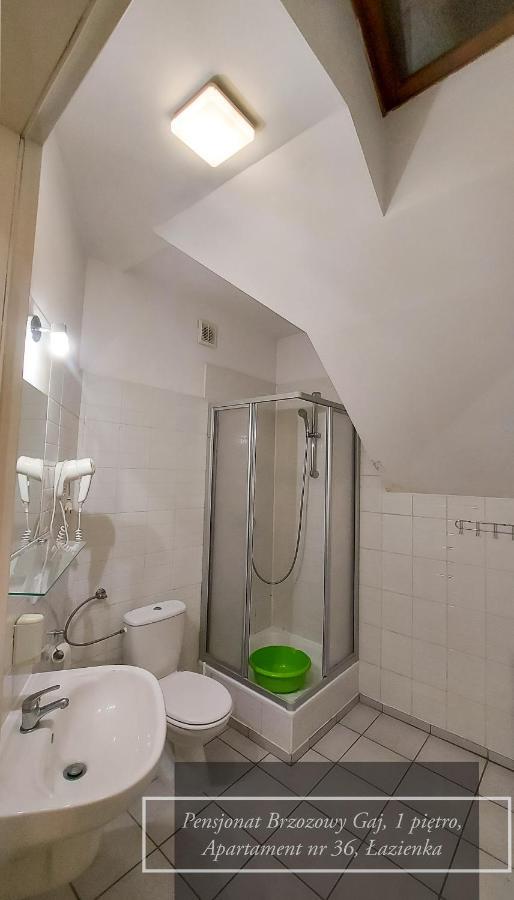 Brzozowy Gaj - Pensjonat Karpacz Bagian luar foto