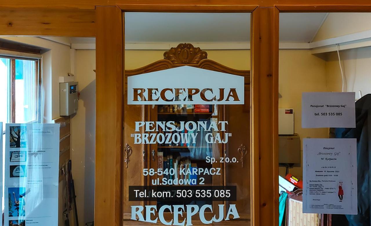 Brzozowy Gaj - Pensjonat Karpacz Bagian luar foto